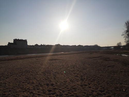 Bord de la Loire à Orleans